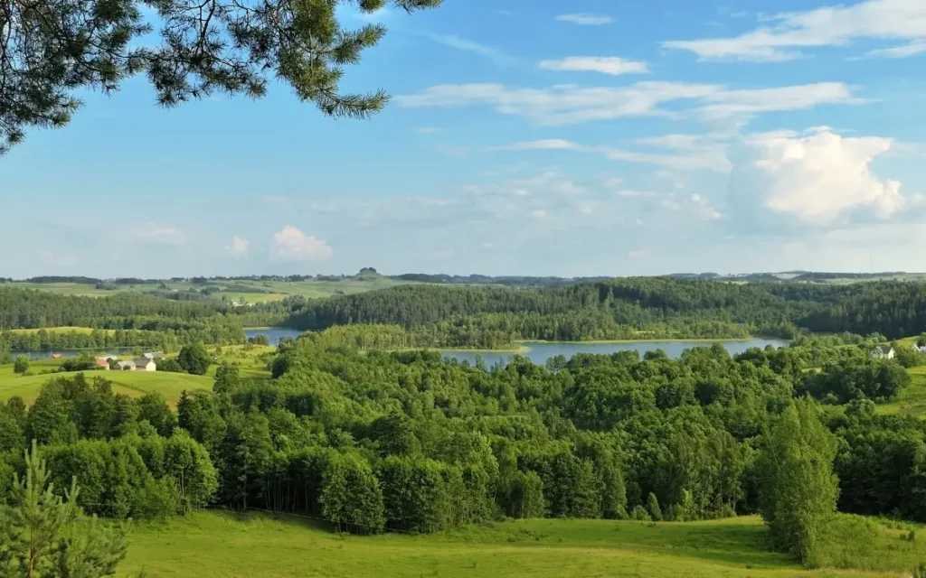 działki budowlane na suwalszczyźnie